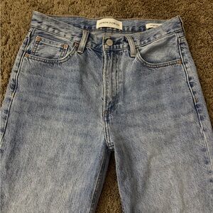 Aritzia Denim Forum The '90s Iggy Lo-rise Baggy Jean